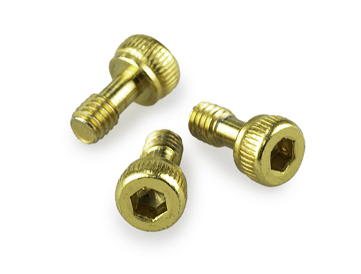 Captive Screw M4 for Skimmer Base (PKT 3)