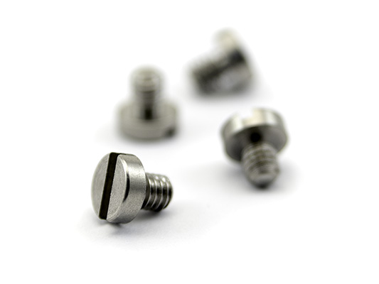 Parafusos para Interface do skimmer TG1023-Ni ou TG1023-Cu (pacote com 4)