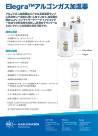 Elegra Flyer